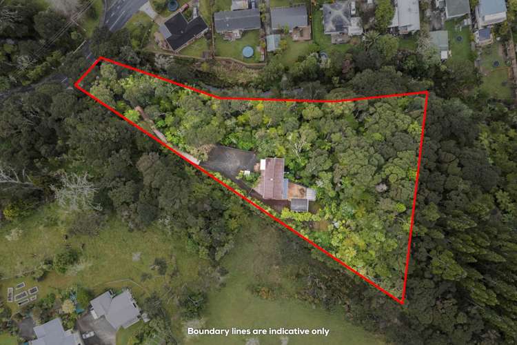 43 Birdwood Road Swanson_20