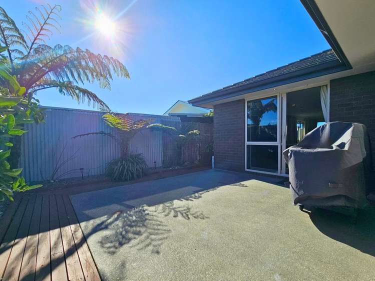 37A Hutcheson Street Mayfield_14