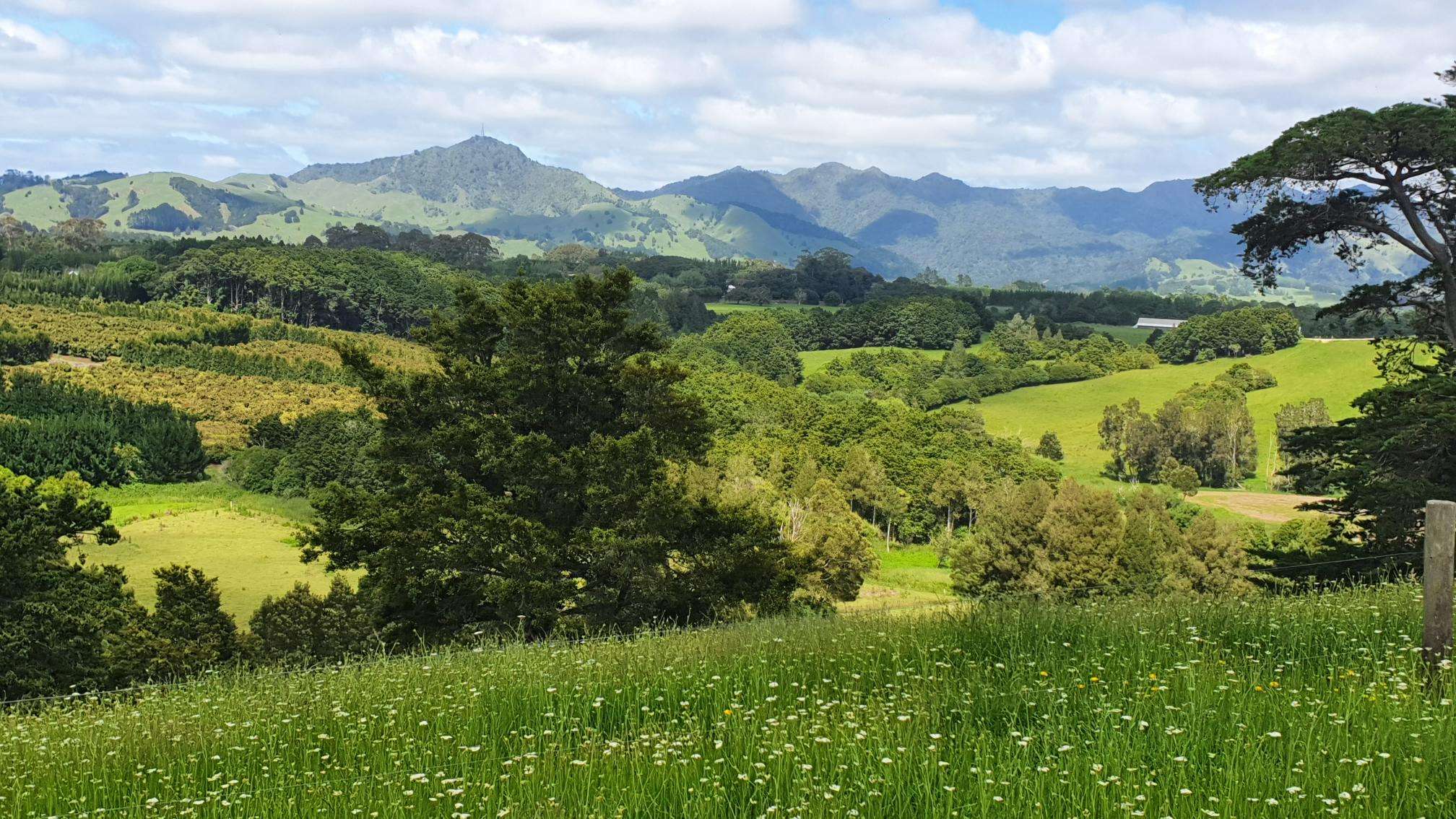 Curd Road Maungakaramea Whangārei Rural Property For Sale One Roof