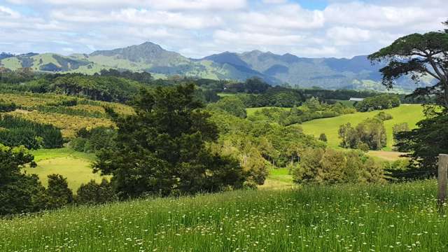 Curd Road Maungakaramea_4