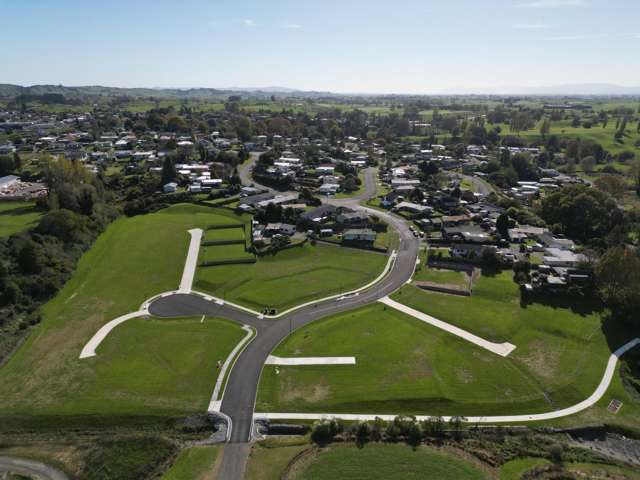 ** Ruru Downs Putaruru_4