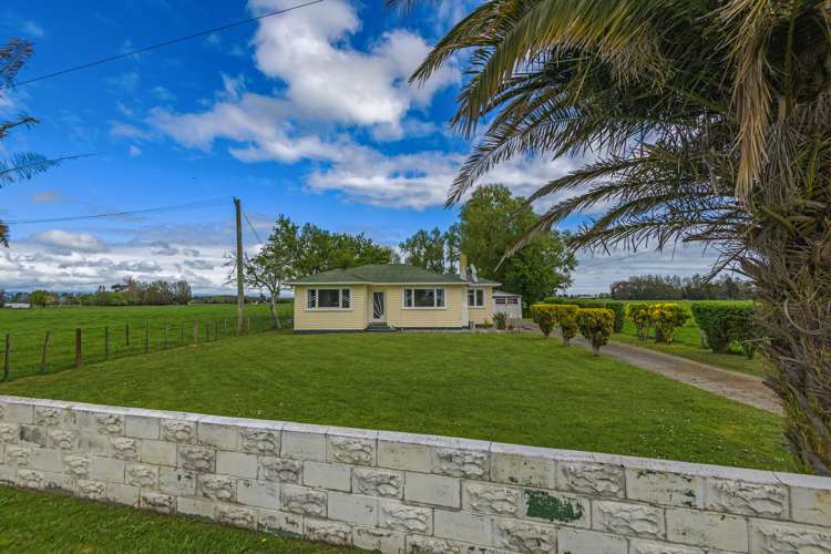 1495 Rangitikei Line Kairanga_12