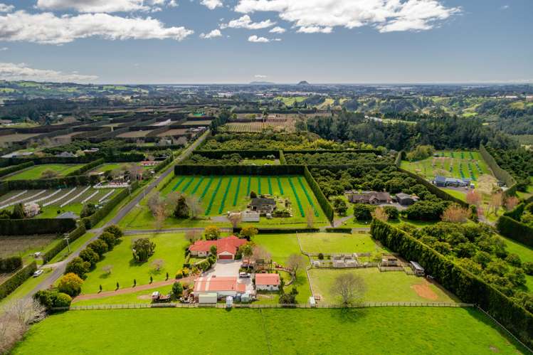 563 Belk Road Kaimai_20