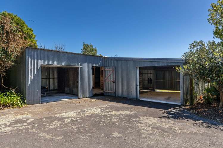 55 Pitt Road Hillsborough_31