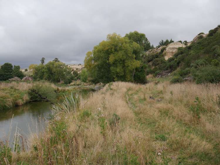 1390 Dunback-Morrisons Road Waynes_32