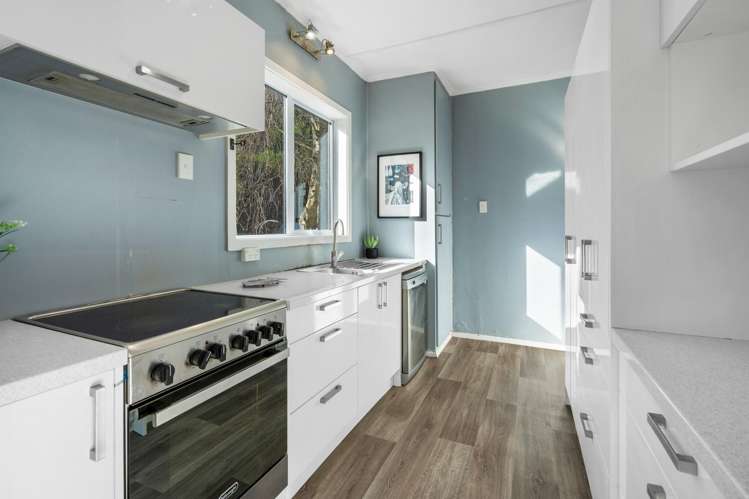 102 Somerville Street Andersons Bay_7