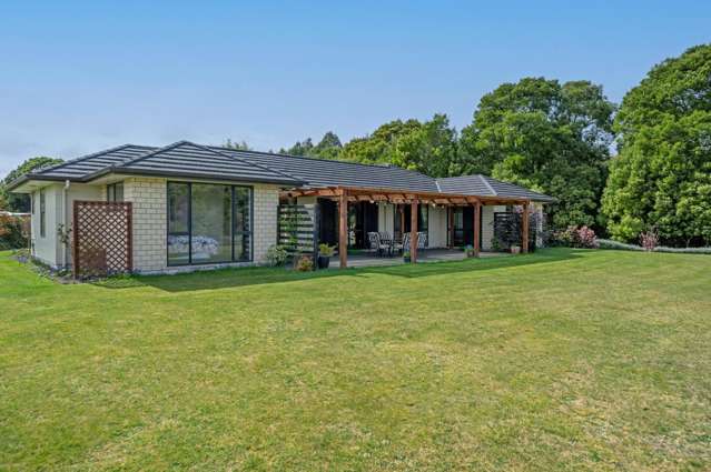 16 Lacebark Drive Kinloch_3