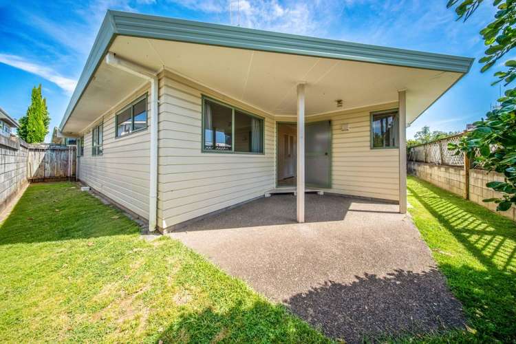 723C Cameron Road Tauranga South_16
