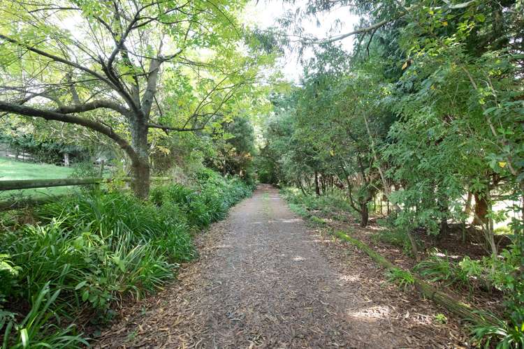 38 Beatty Road Dannevirke_17