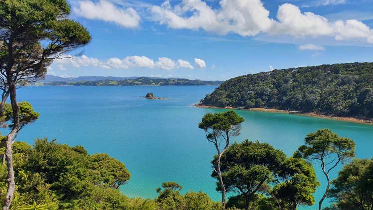 Lot 171/DP6849 North Cove Kawau Island_3
