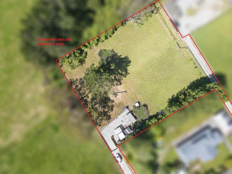 Pandora Avenue Camerons_27