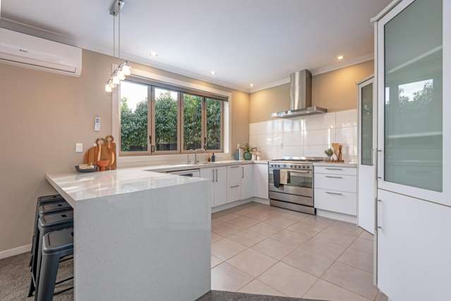 31a Puriri Terrace Roslyn_2