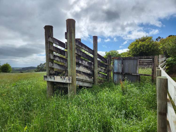 783 Mangorei Road Mangorei_2