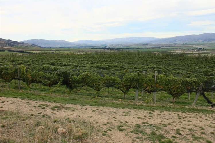 12 Macmillan Lane Cromwell_7