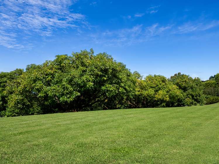 14c Crawford Road Wairoa_12