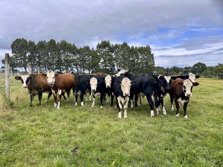 35 Pioneer Highway Mataura_21