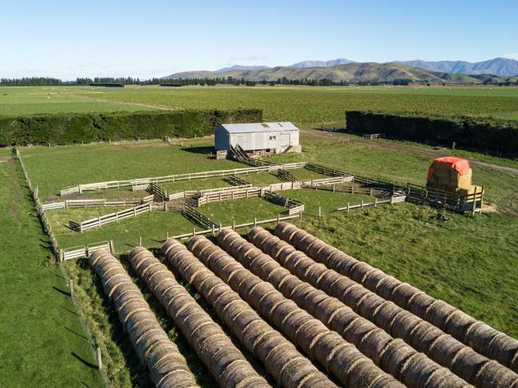 893 Tramway Road Mount Somers_22