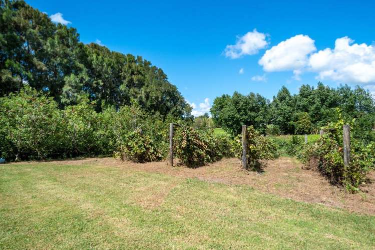 1295 Coatesville-Riverhead Highway Kumeu_17