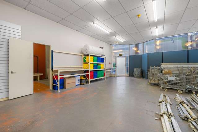 Unit 4, 3 Alpha Street Te Aro_4