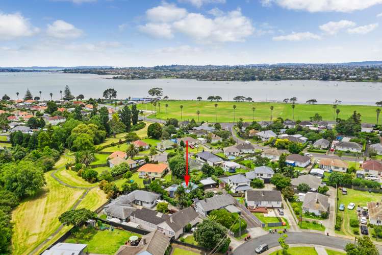 33a Coral Crescent Panmure_17