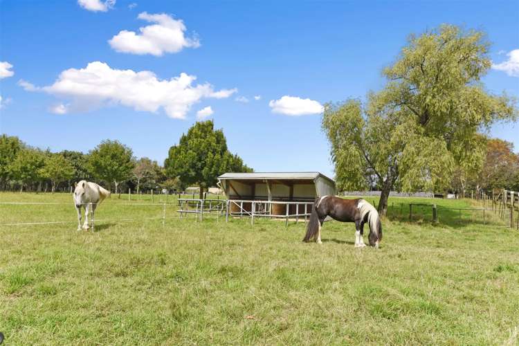 45 Bryant Road Brightwater_23