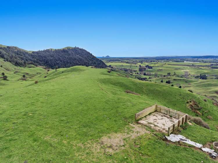 950 Braemar Road Rotoma_14