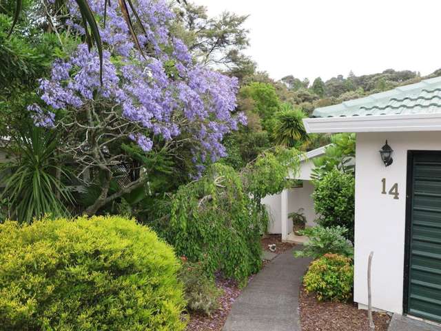 14 Emlyn Place Torbay_3