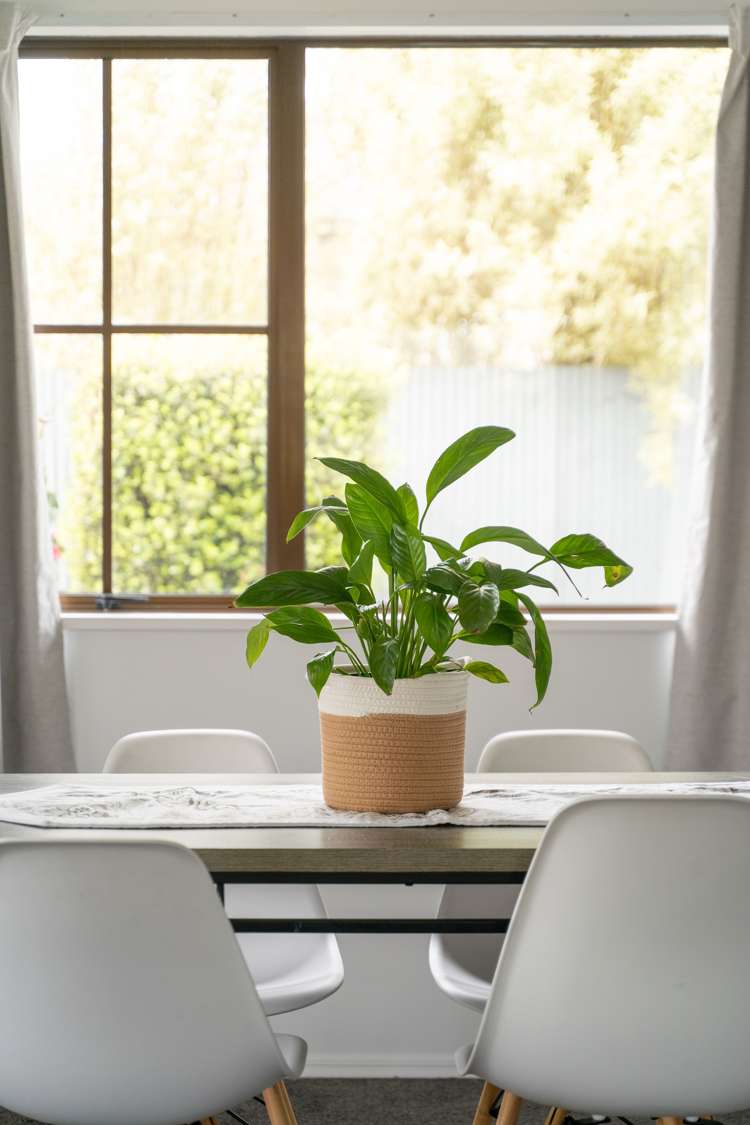 3 Petries Road Woodend_28