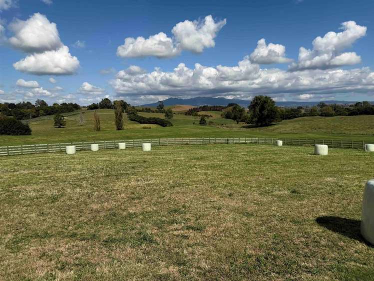 168 Gillard Road Ohaupo_12