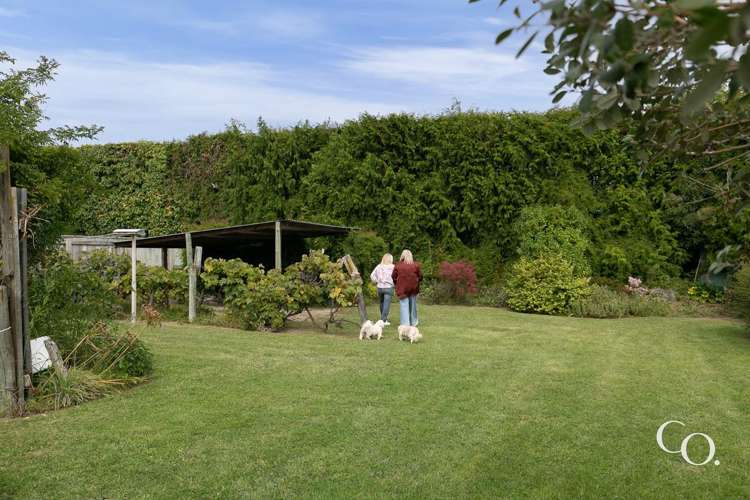 202 Murdoch Road West Raureka_20