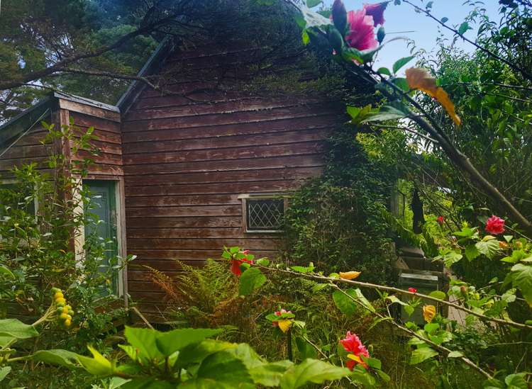 914 Whakapirau Road Whakapirau_2