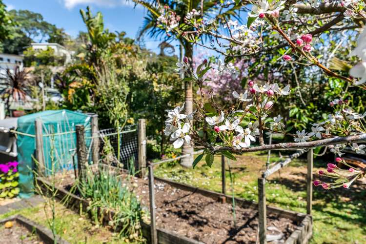 24 Shoebridge Crescent Ngunguru_22