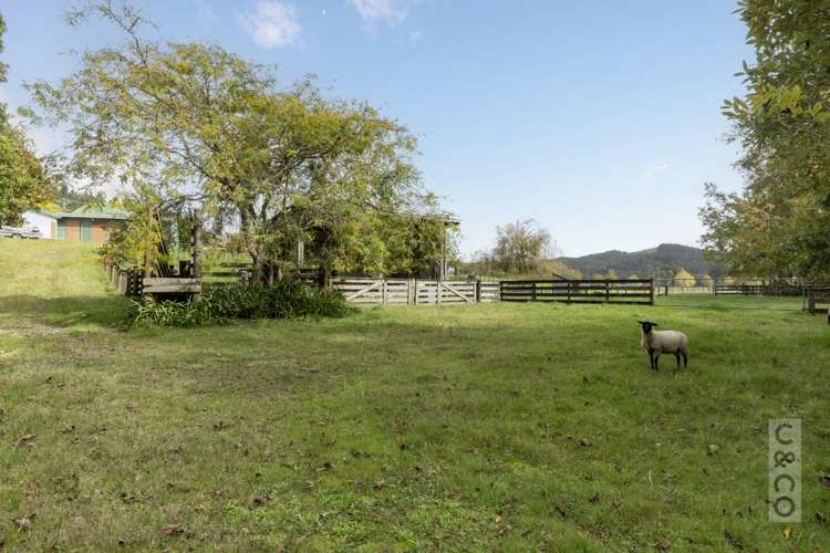 293 Ararimu Valley Road Helensville_24