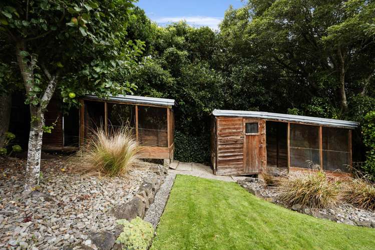 50 Every Street Andersons Bay_27