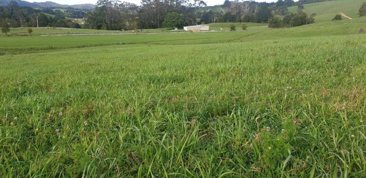 535 Omahuta Road Mangamuka_17
