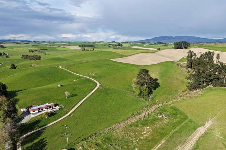 21 East Chatton Road Maitland_14