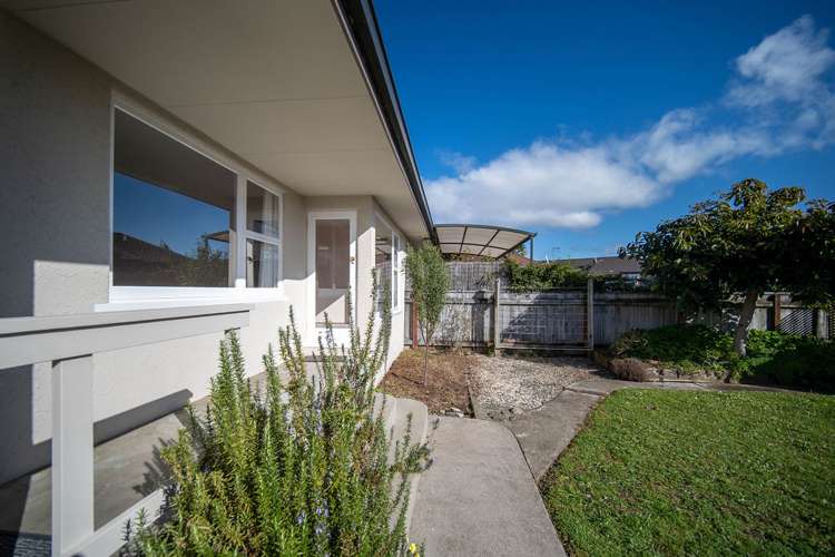 1/77a Halifax Street The Wood_16