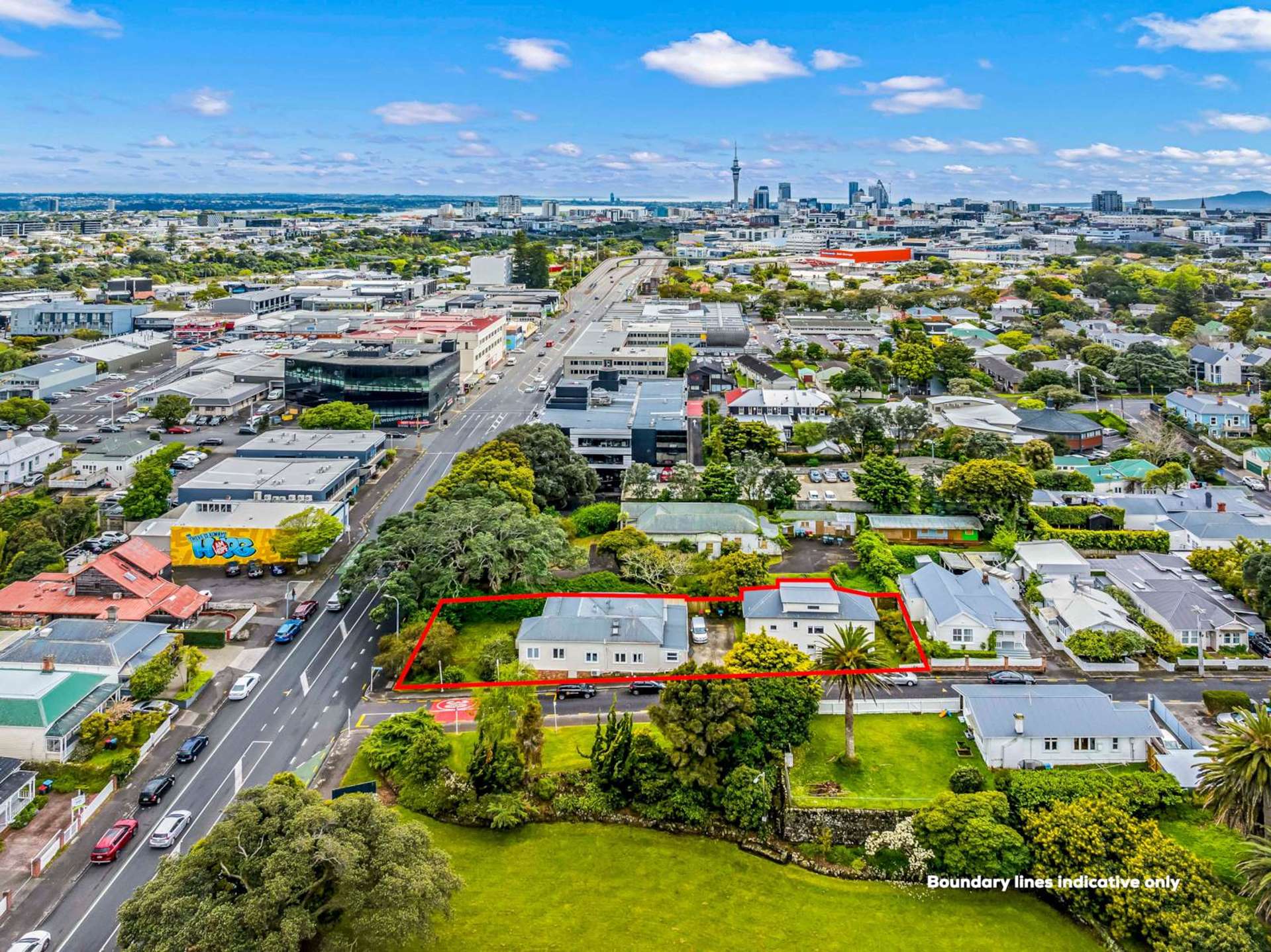 146 Dominion Road & 2A Lisnoe Avenue Mt Eden_0