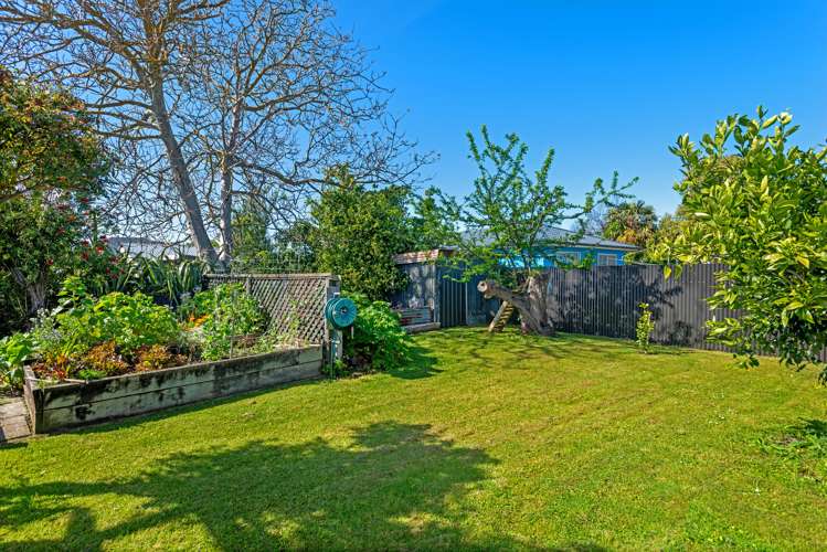 59 Graham Road Inner Kaiti_15