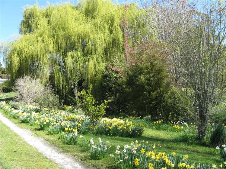 26 Greenhill Road Ngatimoti_50