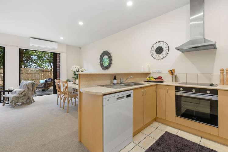 11/11 The Avenue Albany_9