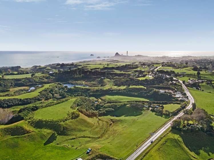 568 South Road Omata_9