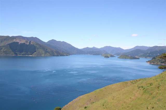 Picnic Bay Marlborough Sounds_3