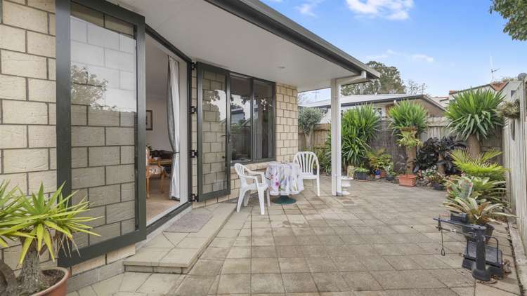 529c Devonport Road Tauranga South_9