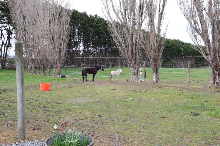 77 Millton Park Road Mill Road_44