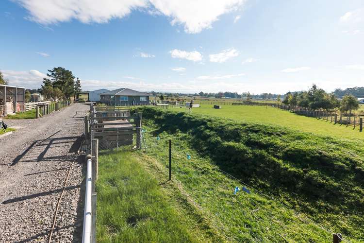 94 Farm Road Waipukurau_18