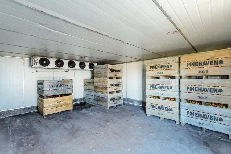 112 Ahikouka Road Greytown_10