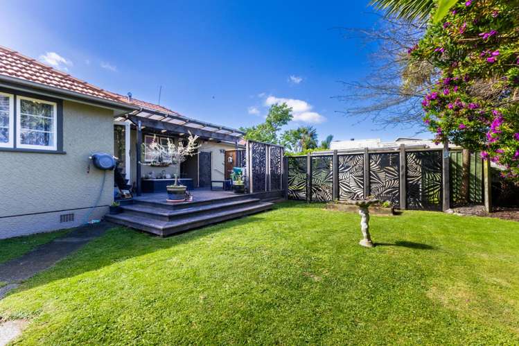 6 Puriri Terrace Roslyn_25