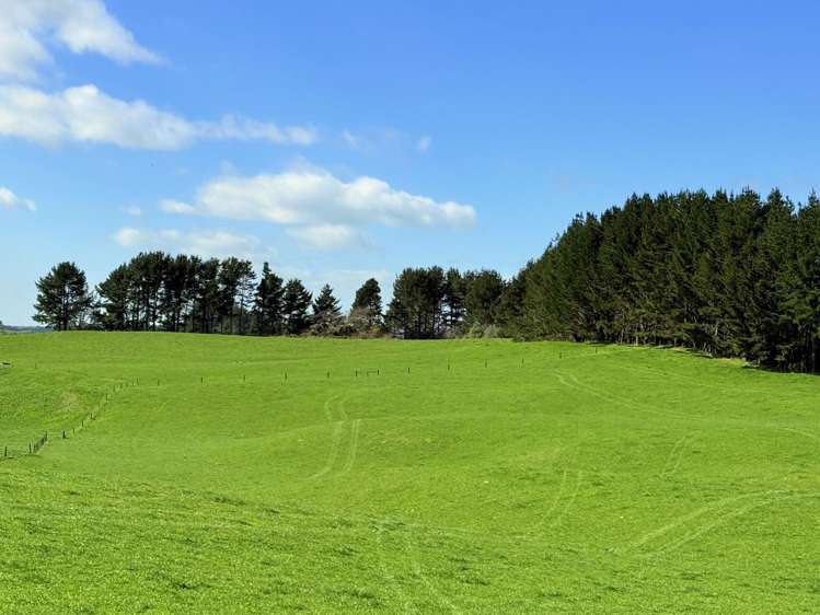 753 Pongakawa Bush Road Pongakawa_6