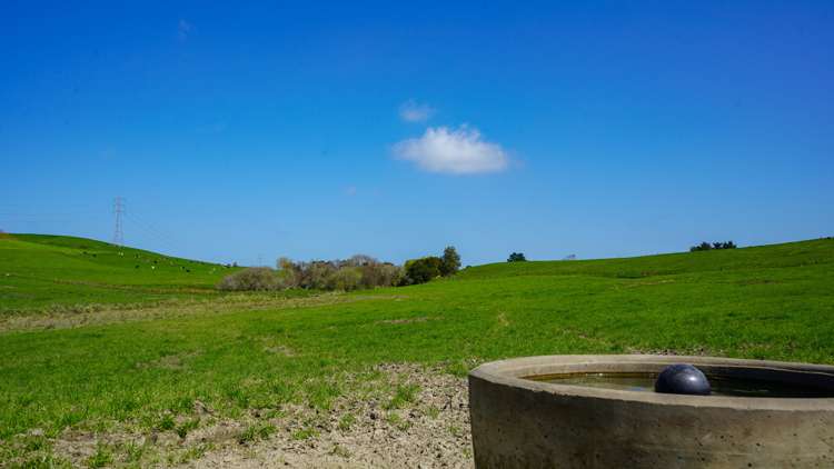 304b Waiterimu Road Waiterimu_7